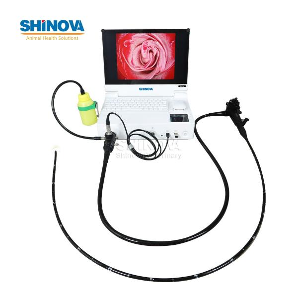 Portable Small Animal Veterinary Gastroscope Endoscopy System