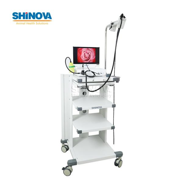 Portable Small Animal Veterinary Gastroscope Endoscopy System