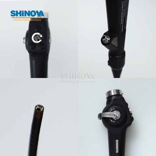 Veterinary Flexible Endoscope for Dogs and Cats
