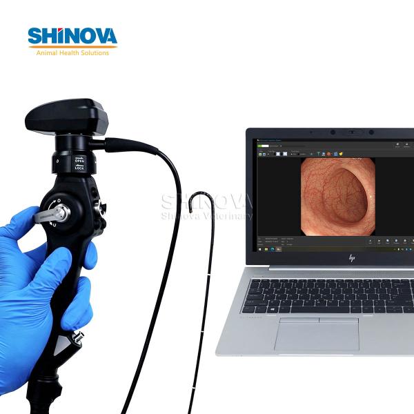 Veterinary Flexible Endoscope for Dogs and Cats