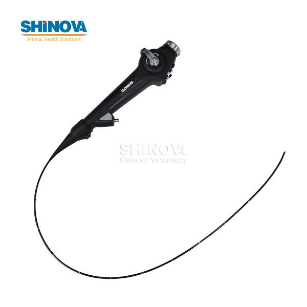 Veterinary Flexible Endoscope for Dogs and Cats