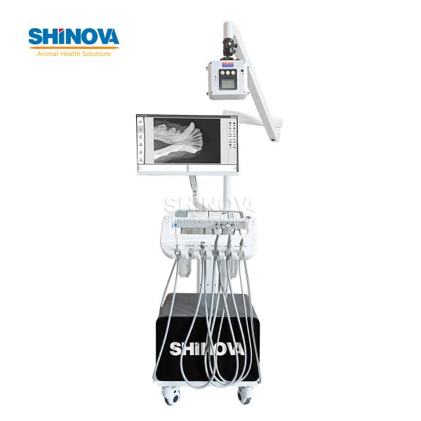 Veterinary Dental Workstation with Dental Imaging System