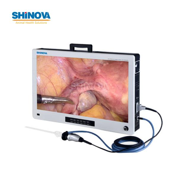 4K UHD Integrated Endoscopic Imaging System
