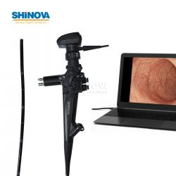 Handheld HD Veterinary Endoscope for Equine
