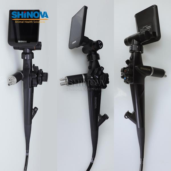Handheld HD Veterinary Endoscope for Equine