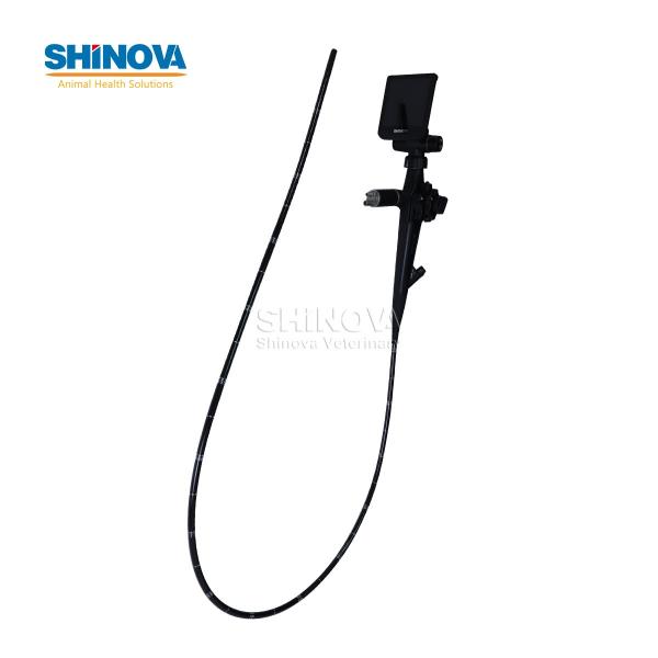 Handheld HD Veterinary Endoscope for Equine