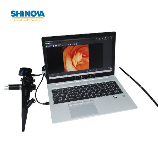 Handheld HD Veterinary Endoscope for Equine