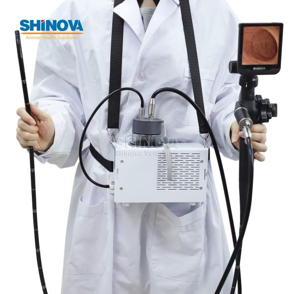 Handheld HD Veterinary Endoscope for Equine