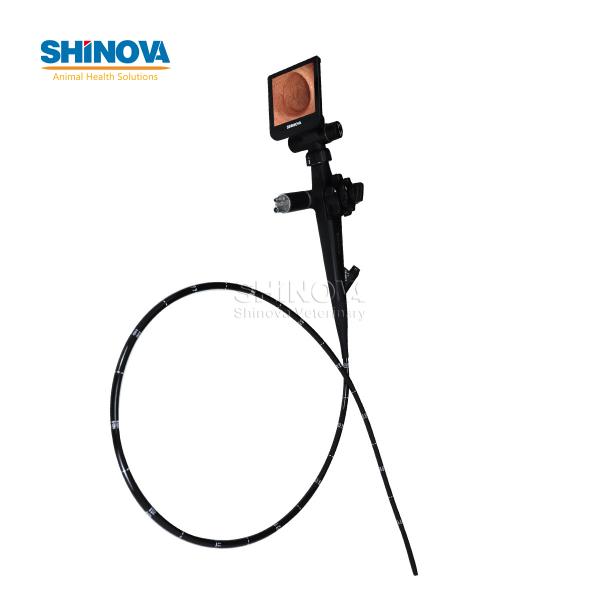 Handheld HD Veterinary Endoscope for Equine