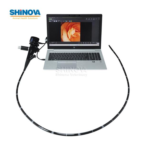 Handheld HD Veterinary Endoscope for Equine
